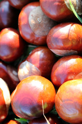 Similar image 6604111