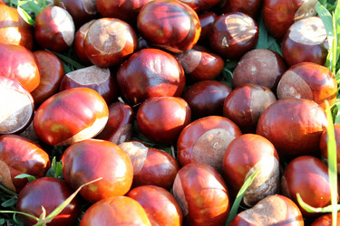 Similar image 6604113