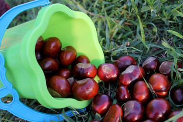 Similar image 6604118