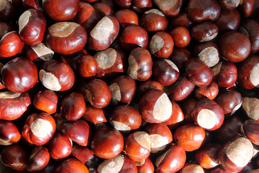 Similar image 6604121