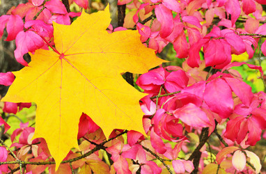 Similar image 6604145