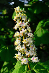 Similar image 6604232