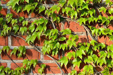 Similar image 6604235