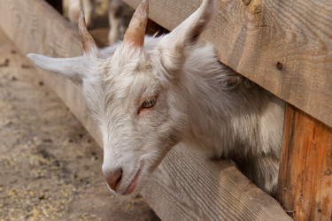 Similar image 6604250