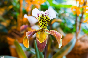 Similar image 6604311