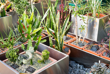 Similar image 6604312