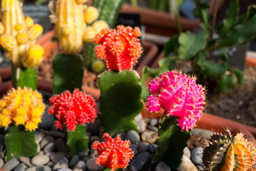 Similar image 6604314