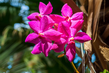 Similar image 6604316