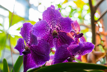 Similar image 6604319