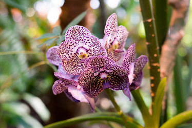 Similar image 6604320