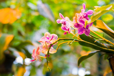 Similar image 6604322