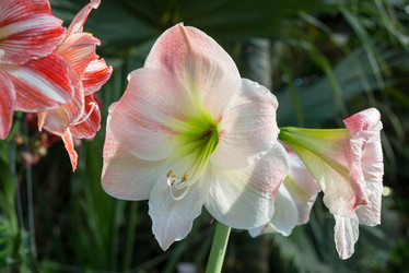 Similar image 6604332