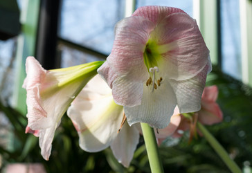 Similar image 6604333