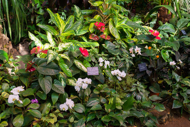 Similar image 6604335