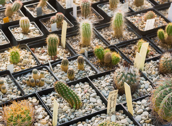 Similar image 6604336