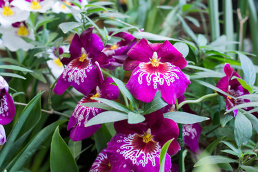 Similar image 6604339