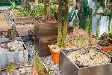 Similar image 6604342