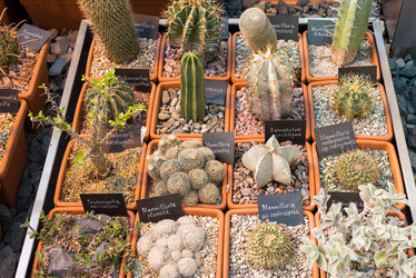 Similar image 6604343