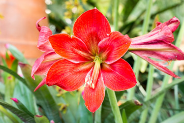 Similar image 6604346