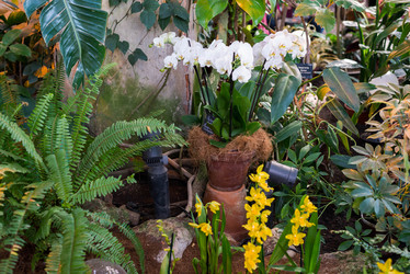 Similar image 6604352