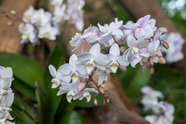 Similar image 6604354