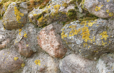 Similar image 6604366