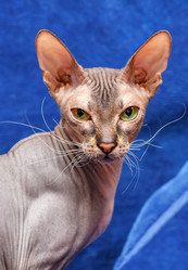 Similar image 6604376