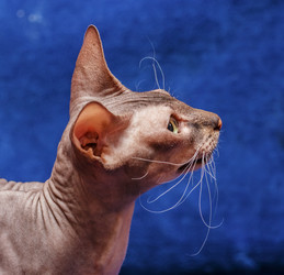 Similar image 6604377