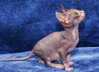 Similar image 6604379