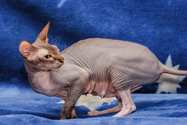 Similar image 6604380