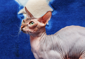 Similar image 6604381