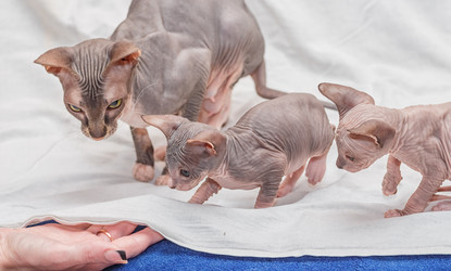 Similar image 6604390