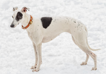 Similar image 6604458