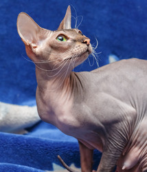 Similar image 6604461