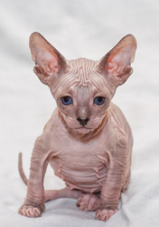 Similar image 6604463