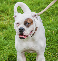 Similar image 6604465