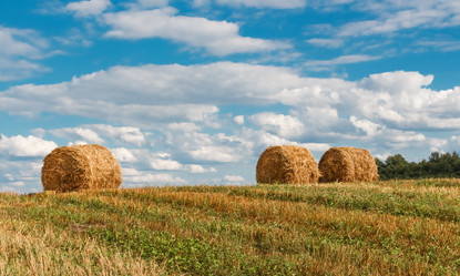 Similar image 6604486