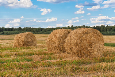 Similar image 6604490