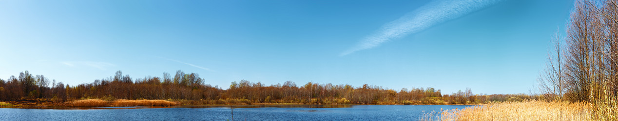 Similar image 6604491