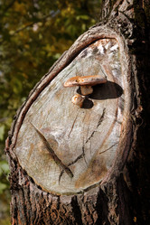 Similar image 6604492