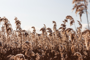 Similar image 6604498