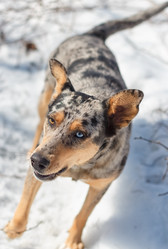 Similar image 6604503