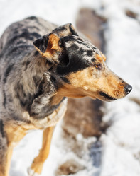 Similar image 6604504