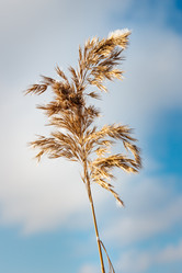 Similar image 6604508