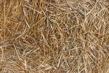 Similar image 6604510