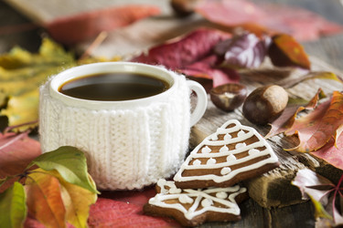 Similar image 6604672