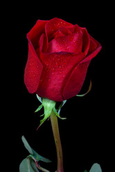 Similar image 6604674