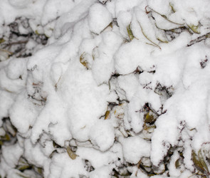 Similar image 6604690