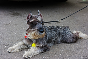 Similar image 6604886