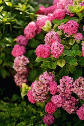 Similar image 6605040